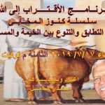 حلقة (9).jpg